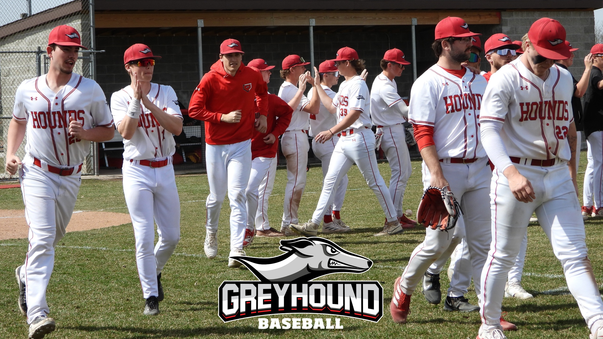 STRONG FIRST HALF FOR THE MACC GREYHOUNDS BASEBALL TEAM