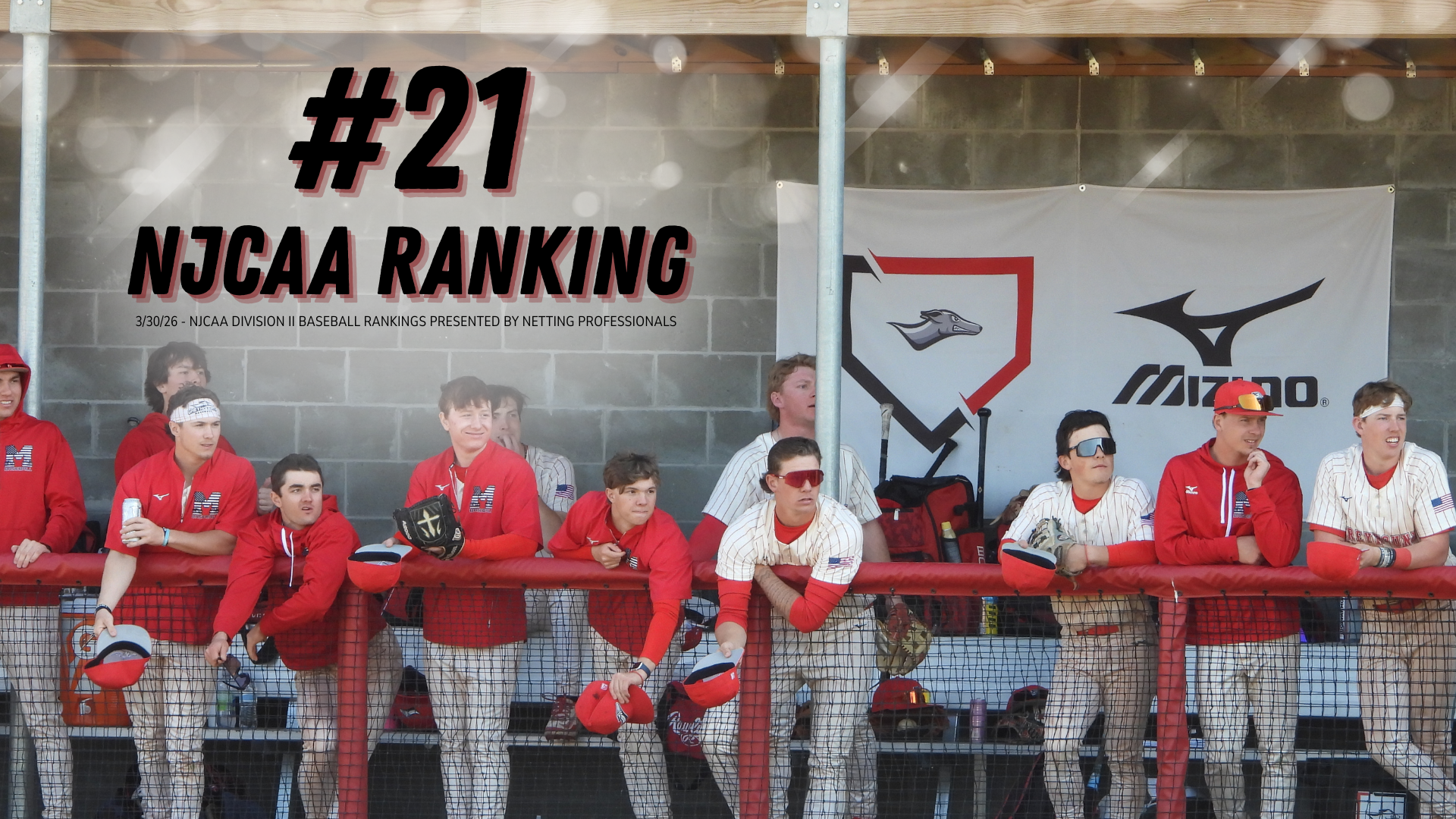 Greyhounds Make Program History with First-Ever Top 25 Ranking